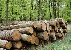توقیف 111 اصله الوار جنگلی قاچاق در شهرستان نیر