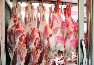 خرید گوشت از مراکز معتبر استان
