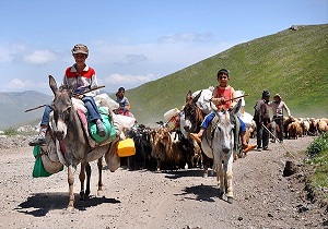 کوچ بهاره عشایر شاهسون تا 15 خرداد ادامه خواهد داشت