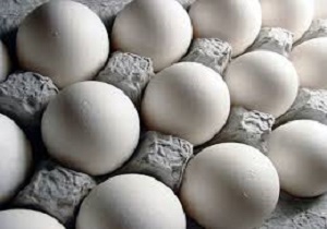 آخرین وضعیت صادرات تخم مرغ/نرخ منطقی هر عدد تخم مرغ 320 تومان