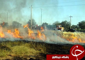 آغاز فصل گرما و سریال آتش گرفتن علف های هرز