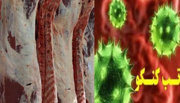 تکذیب شایعات مبنی بر شیوع تب کریمه کنگو در کرمان