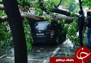 توفان در مسکو جان 16 نفر را گرفت