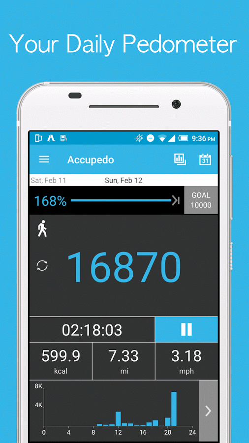 Accupedo Pro Pedometer