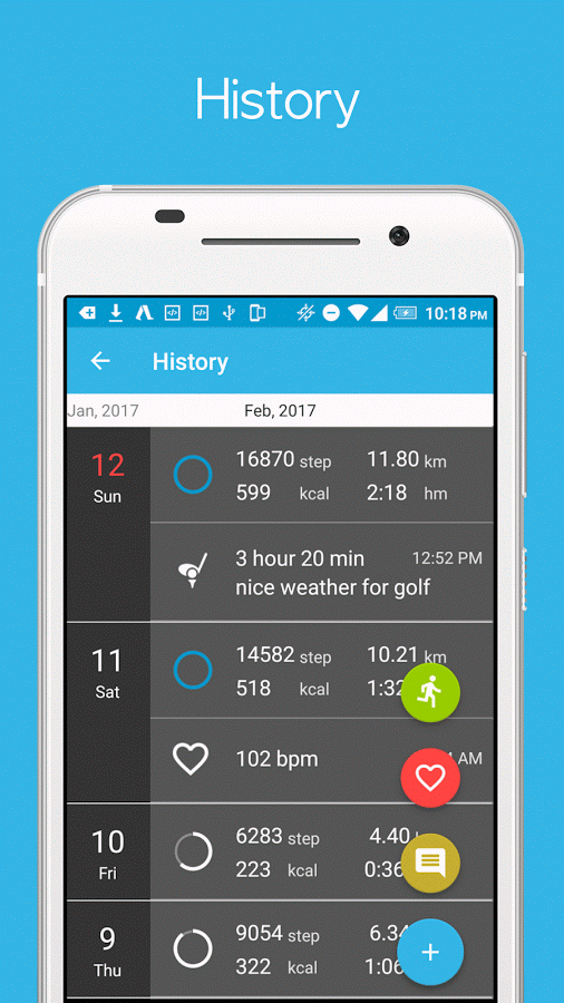 Accupedo Pro Pedometer
