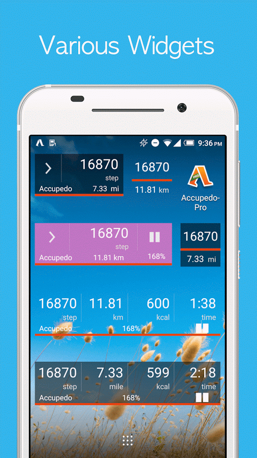 Accupedo Pro Pedometer