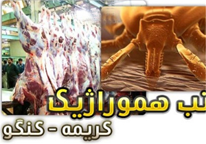 خوراندن اجباری اسید/موفقیت پژوهشگران ایرانی/تلاش بی حاصل برای بدنام کردن پلیس