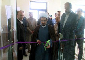 کاشت داشت و برداشت برنج از نگاه دوربین
