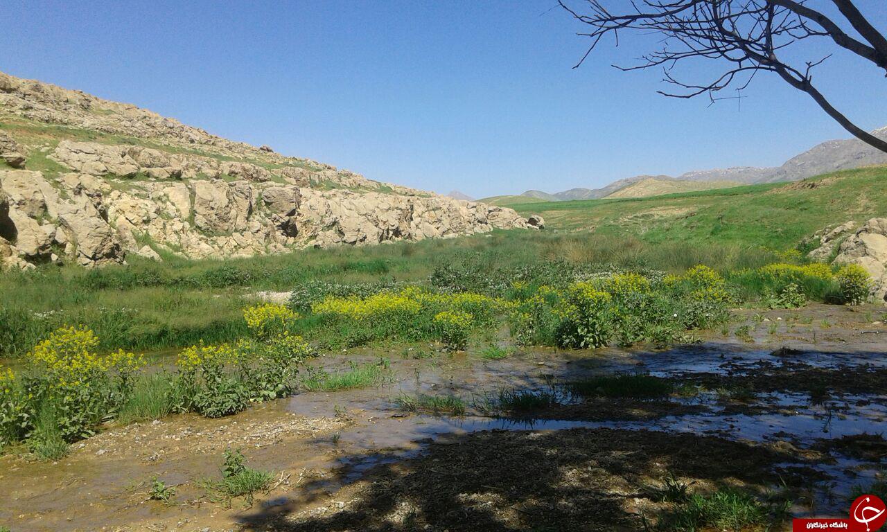 سیراب شدن زمین های کشاورزی + تصاویر