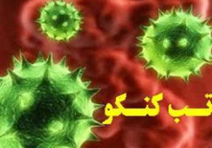 آزمایش 3 مورد مشکوک به بیماری تب کنگو در استان منفی اعلام شد