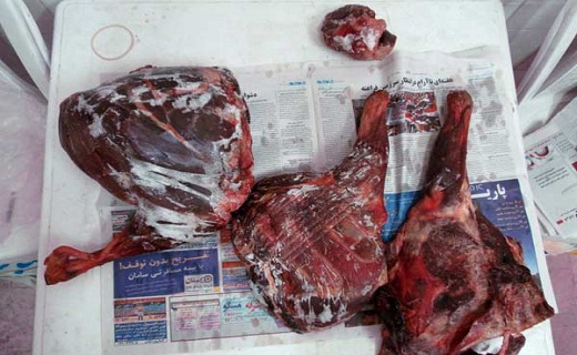 نگاهی به پر بیننده ترین اخبار روز گذشته در سمنان
