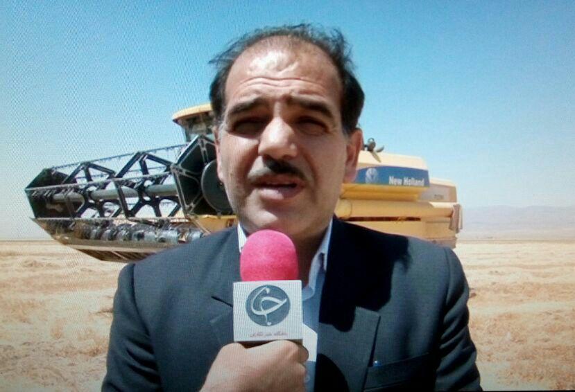 کاهش ۴۰ درصدی غلات در قوچان