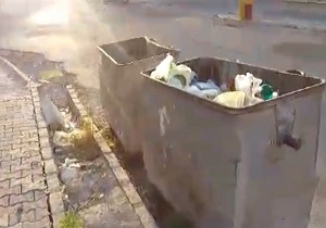 انباشت زباله در حاشیه خیابان + فیلم