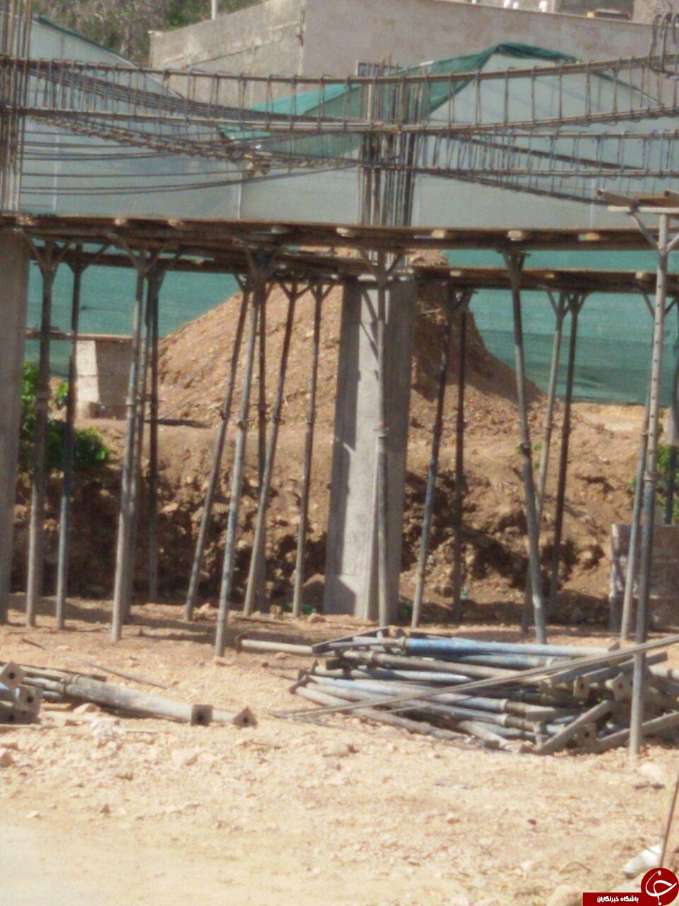 آتش به جان جاذبه های طبیعی/مرگ هزاران درخت در محلات + تصاویر