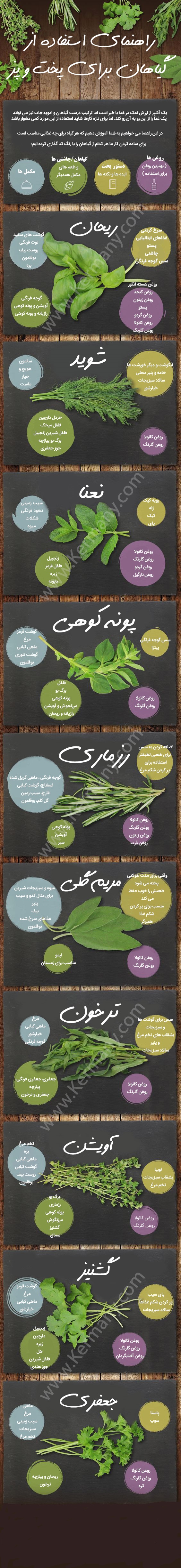 راهنمای استفاده از گیاهان در آشپزی+اینفوگرافیک