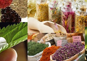 راه اندازی نخستین کلینیک طب سنتی اصفهان