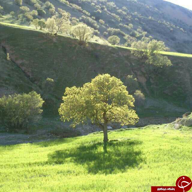 نمایی از طبیعت زیبا و بی&zwnj;نظیر در مورانی + تصاویر