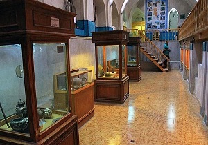 بازدید 6900 گردشگر داخلی و خارجی از موزه‌های استان اردبیل
