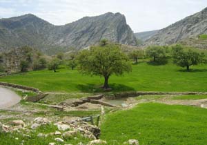 مناظر دیدنی روستای «الگن» در قاب دوربین شهروندخبرنگار + تصاویر