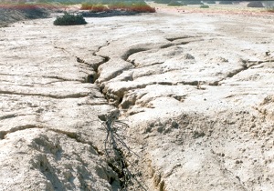 مهار گالی روستای کُندُران با اختصاص اعتبار