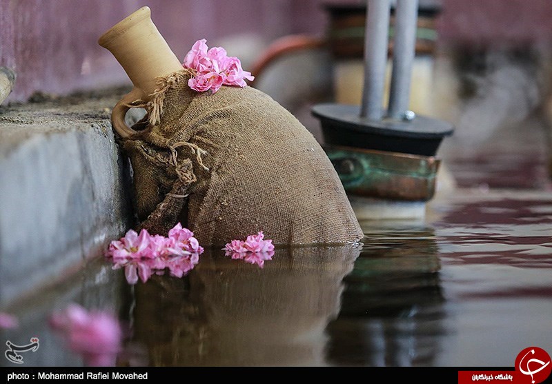 &laquo;گلاب&raquo;؛ کالای شگفت&zwnj;انگیز صادراتی ایران در قرن هفدهم/ تاریخچه گلابگیری