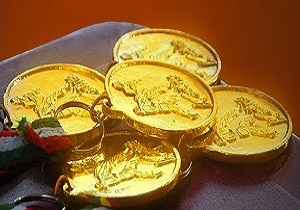 مدال طلای جهان برگردن پاراتكواندوكار يزدی