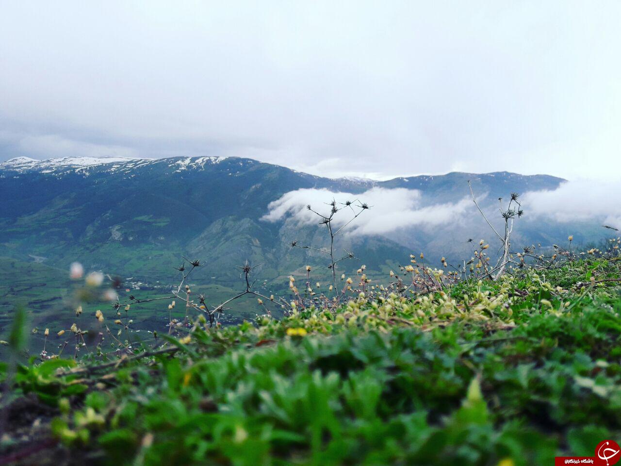 طبیعت زیبای منطقه گردیشه در قاب تصویر