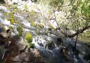نمایی از طبیعت بکر و بی‌نظیری در کهمان + فیلم
