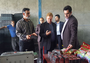 بهره مندی طرح‌های بالای ۶۰ درصد پیشرفت فیزیکی از تسهیلات طرح رونق تولید
