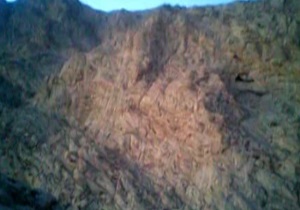 جولان گرگها در پارک کوهستان کرمانشاه + فیلم