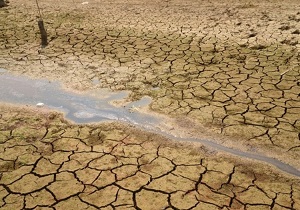 کاهش بیش از 10 درصدی میزان بارش ها در سال زراعی جاری اردبیل