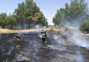 آتش‌سوزی در مراتع کشاورزی بروجن
