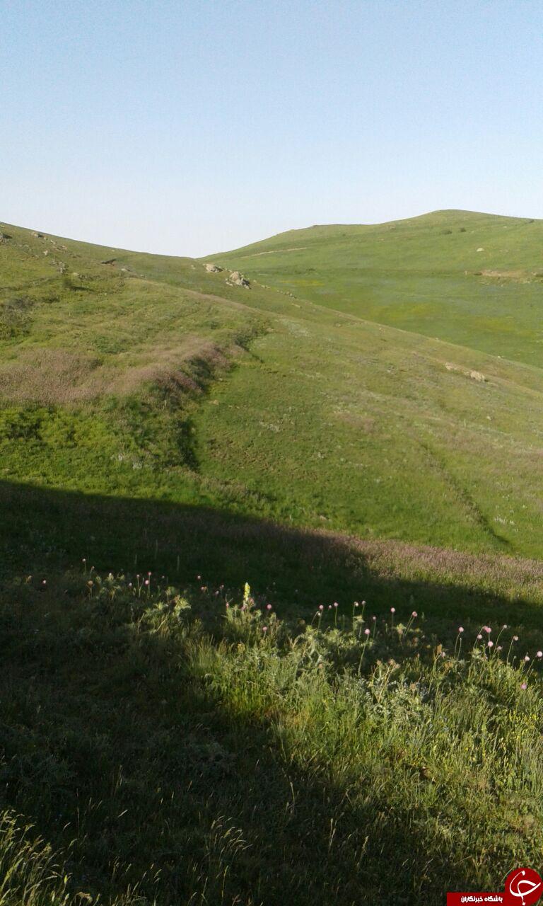 جلوه&zwnj;ای از طبیعت زیبا و بی&zwnj;نظیر در نمین + تصاویر
