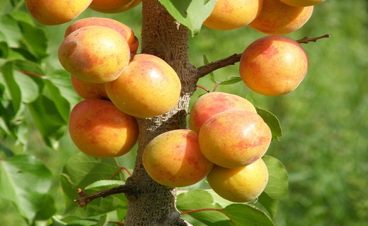 نگاهی به پر بیننده ترین اخبار روز گذشته در سمنان