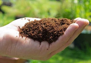 ضرورت واگذاری واردات کود به بخش خصوصی/ چه میزان کود تاریخ گذشته در انبارها موجود است؟