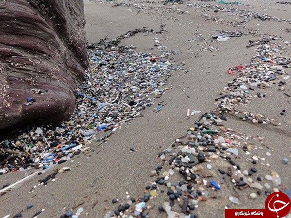 نمایشگاه زباله&zwnj;های پلاستیکی جمع آوری شده از ساحل