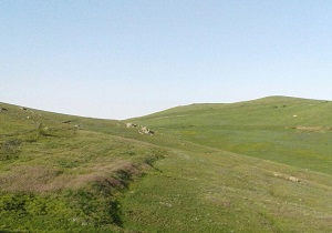 پربازدید