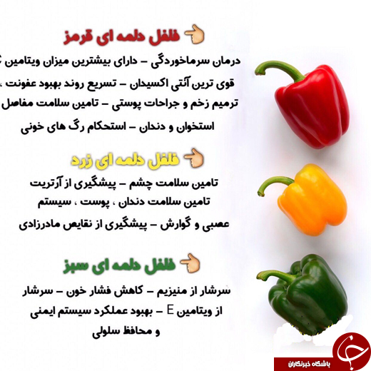 فلفل دلمه&zwnj;ای را آگاهانه انتخاب کنید +عکس