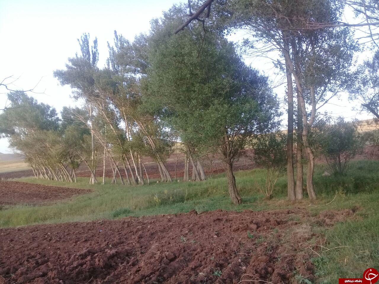 طبیعت بکر و دوست&zwnj;داشتنی در سعیدخانلو + تصاویر