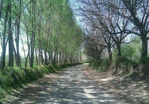 روستای تاریخی و زیبای &laquo;پری&raquo; + تصاویر