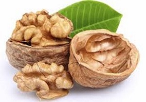 کردستان دارای رتبه 8 کشوری در تولید گردو