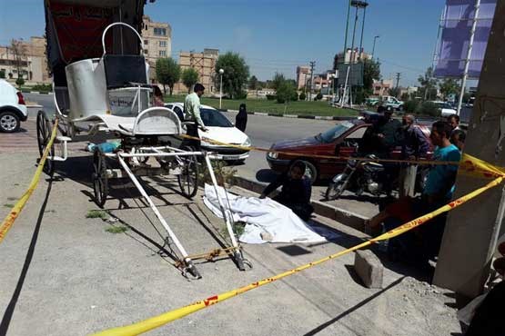 مرگ پسر جوان بر اثر سقوط از تیر برق+عکس