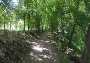 طبیعت دل‌انگیز روستای «زاویه» + تصاویر