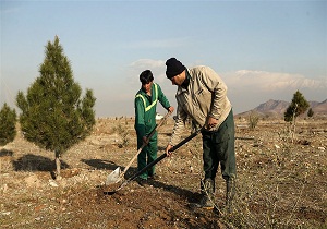 احیای اراضی جنگلی در مهدیشهر