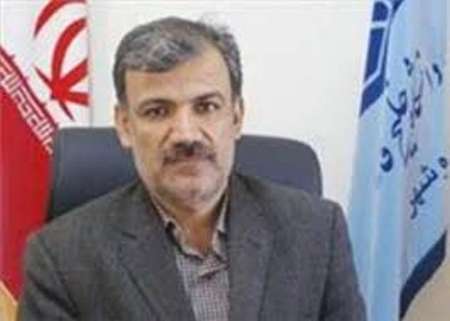 13 هزار و 500 داوطلب بوشهری در کنکور سراسری رقابت می کنند