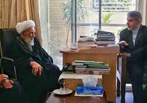 وزیر فرهنگ و ارشاد اسلامی با آیت الله ناصری دیدار کرد