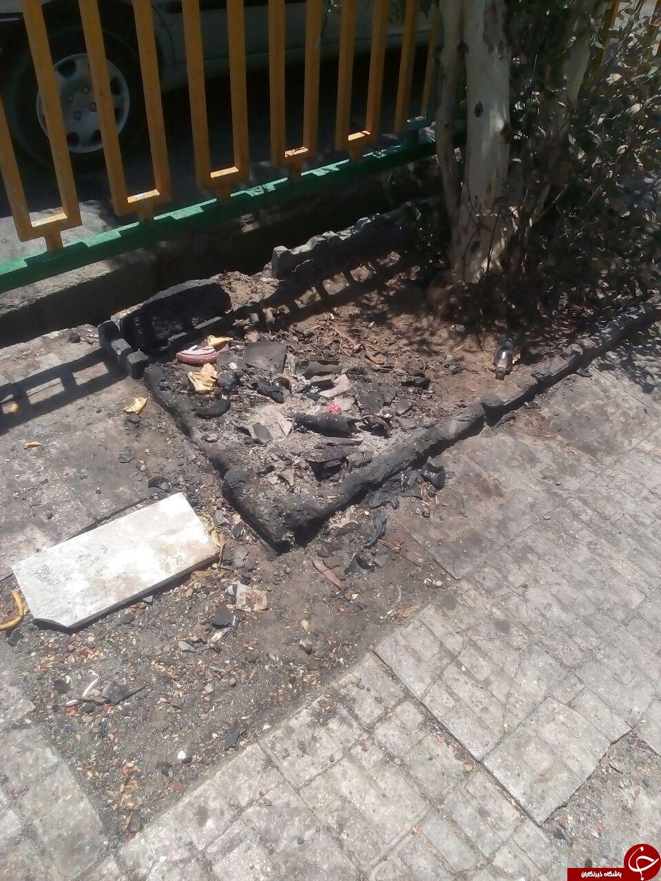 انباشت زباله در معابر زابل + تصاویر