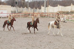 رفسنجان میزبان مسابقات سوارکاری استان