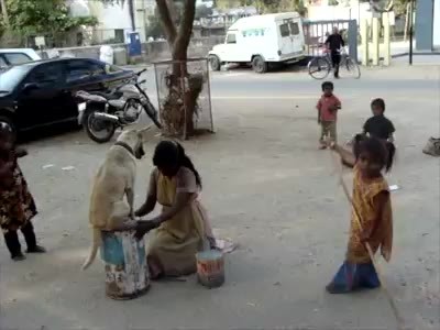 لذت سواری روی جعبه&zwnj;ای کوچک/ نظر رهبر انقلاب درباره اشعار اهالی فرهنگ/ سه مرد پاکستانی با ۹۶ فرزند/ جشن مختلط فارغ التحصیلی در یک دانشگاه + فیلم