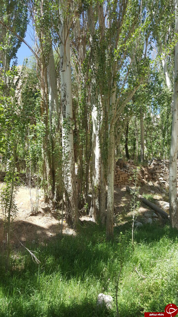 طبیعت دیدنی منطقه تکه + تصاویر